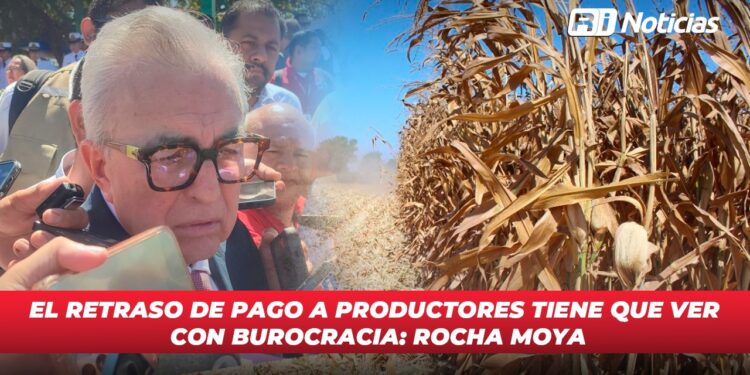 El retraso de pago a productores tiene que ver con burocracia: Rocha Moya