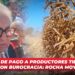 El retraso de pago a productores tiene que ver con burocracia: Rocha Moya