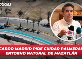 Ricardo Madrid pide cuidar palmeras y entorno natural de Mazatlán