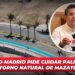 Ricardo Madrid pide cuidar palmeras y entorno natural de Mazatlán