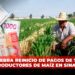 COUC celebra reinicio de pagos de 750 pesos a productores de maíz en Sinaloa