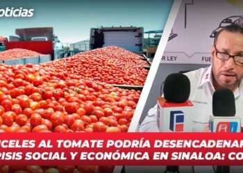 Aranceles al Tomate podría desencadenar una crisis social y económica en Sinaloa: COUC