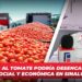 Aranceles al Tomate podría desencadenar una crisis social y económica en Sinaloa: COUC