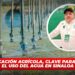La tecnificación agrícola, clave para optimizar el uso del agua en Sinaloa