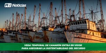 Veda temporal de camarón entra en vigor para asegurar la sustentabilidad del recurso