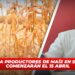 Pagos a productores de maíz en Sinaloa comenzarán el 15 abril
