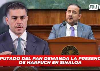 Diputado del PAN demanda la presencia de Harfuch en Sinaloa