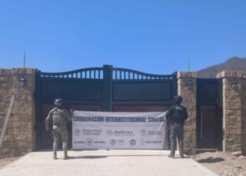 Secretaría de Marina asegura, dos tigres de bengala, explosivos y vehículos en Sinaloa De Leyva