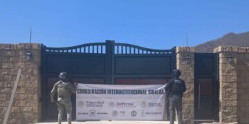 Secretaría de Marina asegura, dos tigres de bengala, explosivos y vehículos en Sinaloa De Leyva