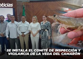 Se instala el comité de inspección y vigilancia de la veda del camarón