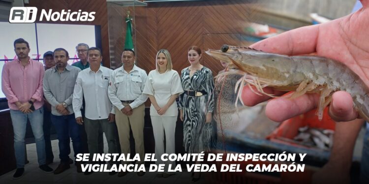 Se instala el comité de inspección y vigilancia de la veda del camarón