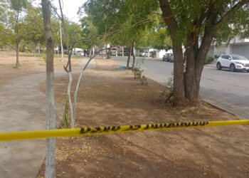 Ejecutan a hombre frente a un parque en la colonia Villa Universidad, en Culiacán