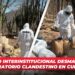 Grupo Interinstitucional desmantela laboratorio clandestino en Culiacán