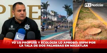 Yo lo propuse y Ecología lo aprobó: SSPM por la tala de dos palmeras en Mazatlán