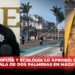 Yo lo propuse y Ecología lo aprobó: SSPM por la tala de dos palmeras en Mazatlán