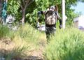 Jornada de descacharrización busca frenar el dengue en Sinaloa