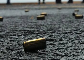 Avanza ley para uso civil de ARMAS para defensa personal: ¿quiénes podrían usarlas?