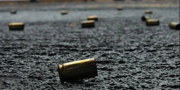 Avanza ley para uso civil de ARMAS para defensa personal: ¿quiénes podrían usarlas?