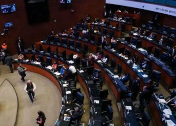 Senado avala reforma que permite uso de armas a funcionarios de PEMEX, SAT, CFE y Banxico