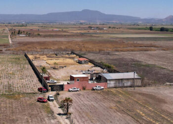 No se encontró evidencia de cremación en rancho Izaguirre de Teuchitlán: Gertz