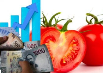 Estados Unidos va a imponer aranceles a los tomates mexicanos. Entra en vigor el 14 de julio
