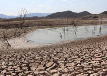 Gobernador de Sinaloa analiza declarar emergencia por sequía