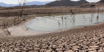 Gobernador de Sinaloa analiza declarar emergencia por sequía