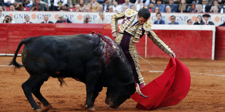 Toreros buscan amparo contra la prohibición de corridas con sangre en CDMX