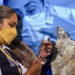 Gripe aviar H5N1 en México, ¿cuáles son los síntomas de la influenza aviar y cómo prevenirla?