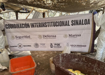 Marina neutraliza narcolaboratorio de ‘Los Chapitos’ en Sinaloa