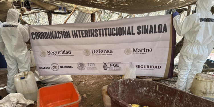 Marina neutraliza narcolaboratorio de ‘Los Chapitos’ en Sinaloa