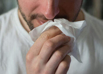 Influenza aviar: qué es, cómo se contagia y cómo prevenirla