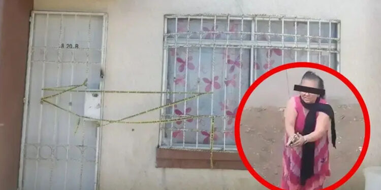 Doña Carlota: ¿Cómo saber si una casa tiene dueño en México en 2025?