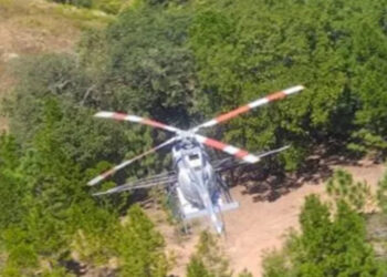 Ejército destruye 203 plantíos de amapola y mariguana en seis estados