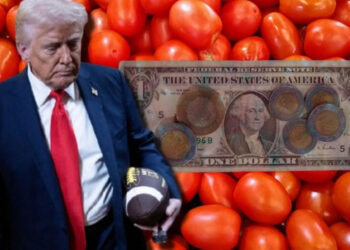 Arancel al jitomate: Estos son los 10 estados que más lo producen en México
