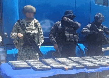 Suman casi 3 mil detenidos y más de 30 mil kilos de droga incautada en Operación Frontera Norte