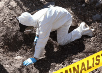 Los 42 cuerpos quemados y cercenados en Colima son, en su mayoría, de mujeres de entre 25 y 39 años