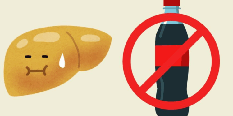Si tomas estas cuatro bebidas, aumenta el riesgo de padecer hígado graso