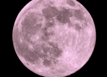 Luna de Flores 2025; ¿Cuántos días faltan para ver el fenómeno astronómico en México?