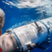 Netflix lanzará documental del submarino Titán de OceanGate: ¿Cuándo se estrena?