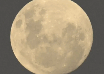 Luna llena de mayo 2025: ¿A qué hora ver y cómo ver la Luna de Flores?