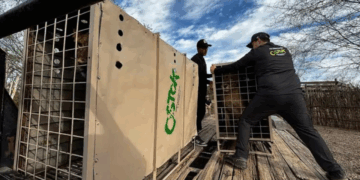 Por las balaceras, Santuario Ostok se muda de Culiacán a Mazatlán