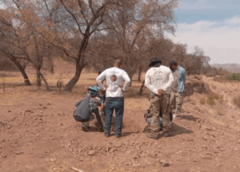 Localizan fosas clandestinas en Nogales y Hermosillo