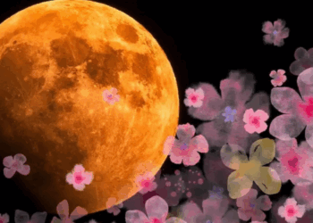 “LUNA de FLORES” 2025: ¿Dónde y a qué hora ver en México?