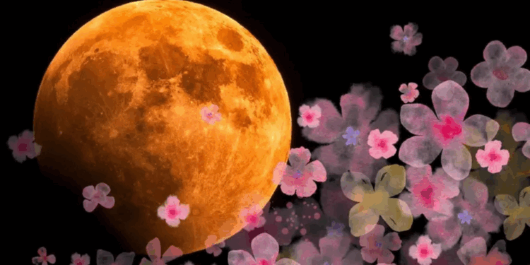 “LUNA de FLORES” 2025: ¿Dónde y a qué hora ver en México?