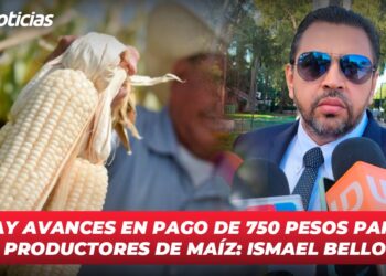 Hay avances en pago de 750 pesos para productores de maíz: Ismael Bello