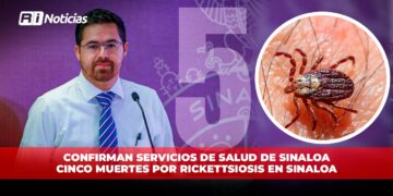 Confirman SSA cinco muertes por rickettsiosis en Sinaloa: Salud estatal