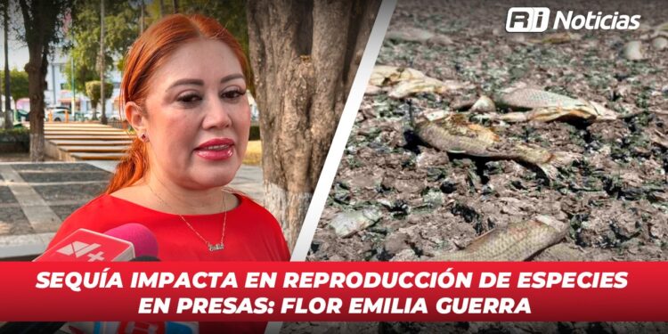 Sequía impacta en reproducción de especies en presas: Flor Emilia Guerra