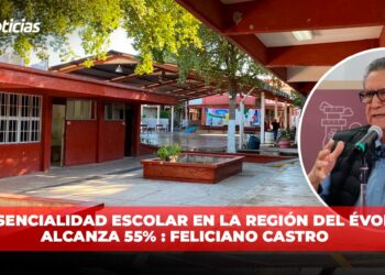 Presencia escolar en la región del Évora alcanza 55%: Feliciano Castro