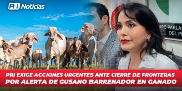 PRI exige acciones urgentes ante cierre de fronteras por alerta de gusano barrenador en ganado